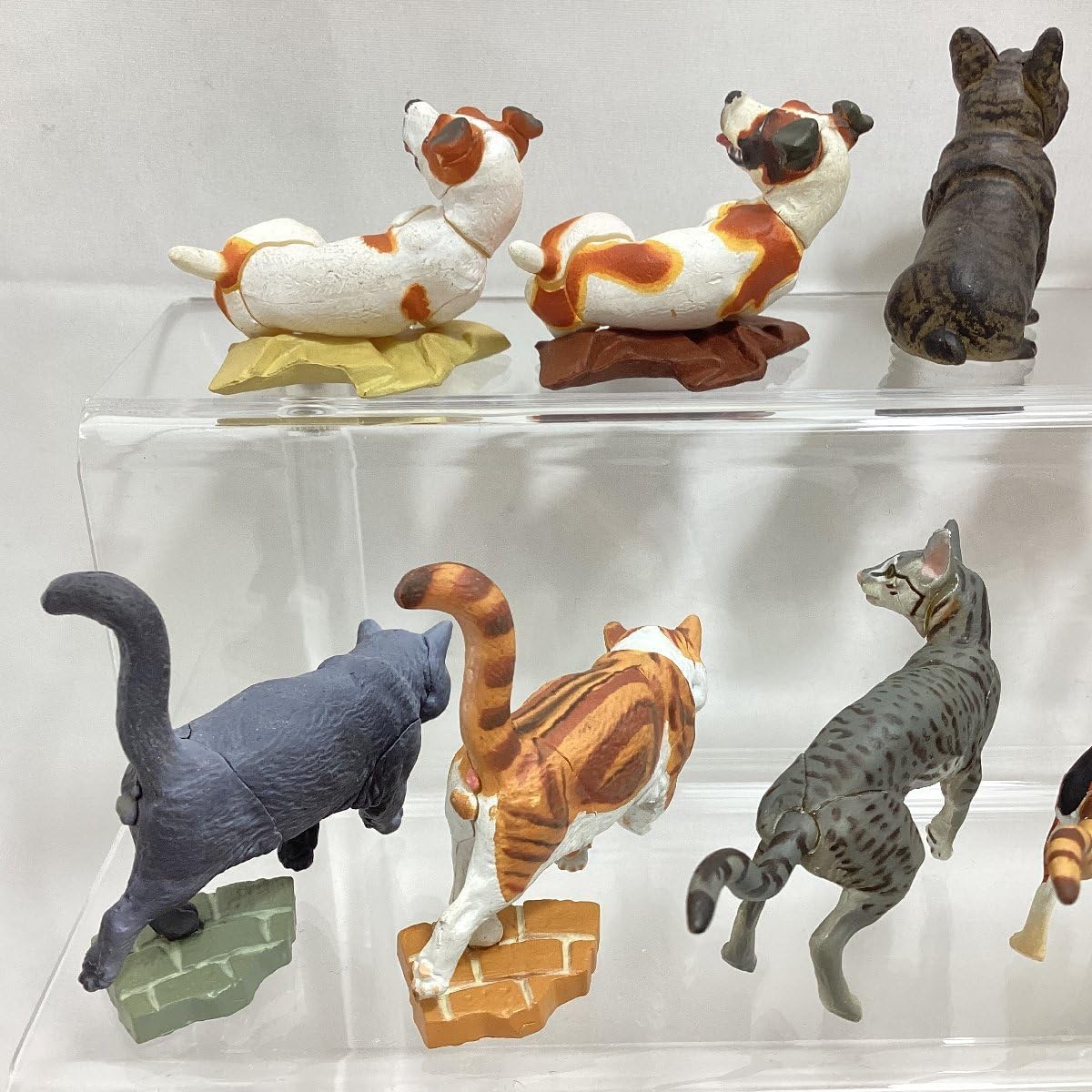 海洋堂　新品未使用 チョコQ アニマテイルズペット シークレット2種32種コンプ Amazon.co.jp: タカラ チョコQ アニマテイルズ ペット動物 シリーズ5